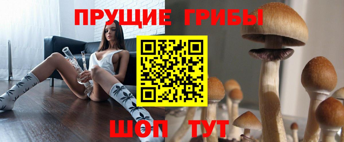 Галлюциногенные грибы Psilocybe  Галлюциногенные грибы GOLDEN TEACHER  Десногорск  Вход с VPN 